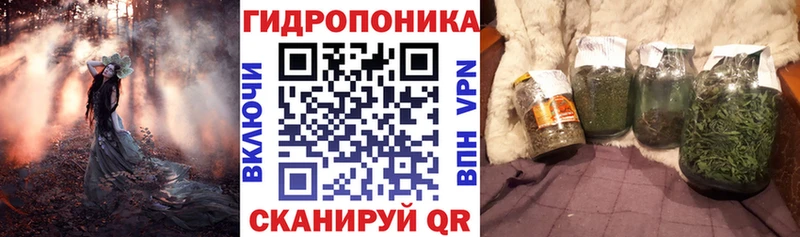 Шишки марихуана планчик  KRAKEN как войти  Куровское  магазин продажи наркотиков 